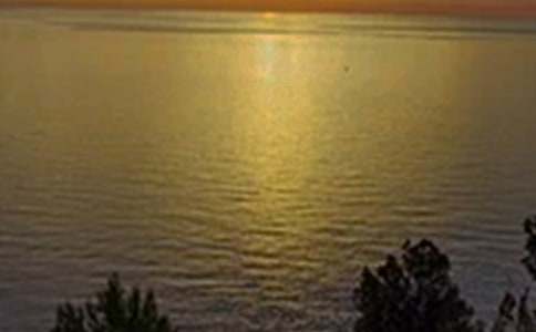 �P(gu��n)�ڂ����簲���������x60�䣩