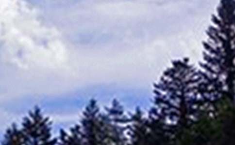 暖心午安寄語精選240句