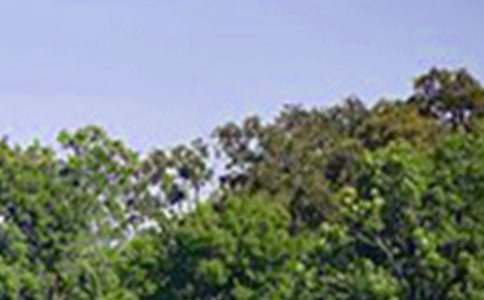 關(guān)于正能量午安寄語大全(精選60句)