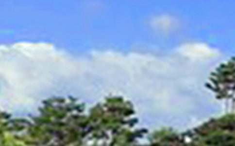 ���õ��簲���Z���źϼ�34�l