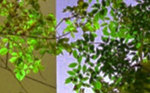 2020年每日一句午安心語QQ42條