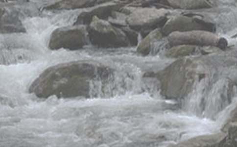 �Zƽ���ġ�Ϫ�� ���b�p