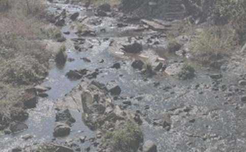 �ǗlϪ��800������