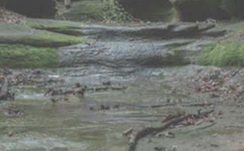 �P(gu��n)���xСϪ���ĸ��и�����1000��