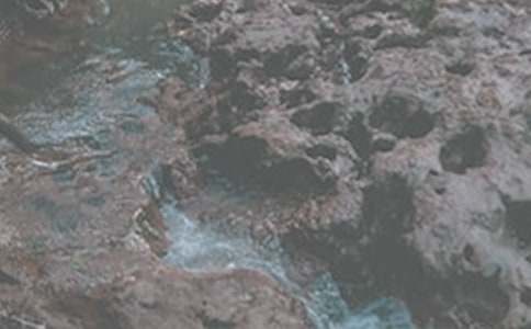 小溪流的旅行作文7篇