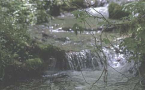 小溪流的旅行作文(9篇)