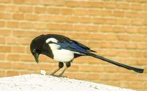 �P(gu��n)��ϲ�oͯԒ���ąR��9ƪ