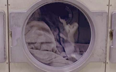 ����͋���ϴ�·�����