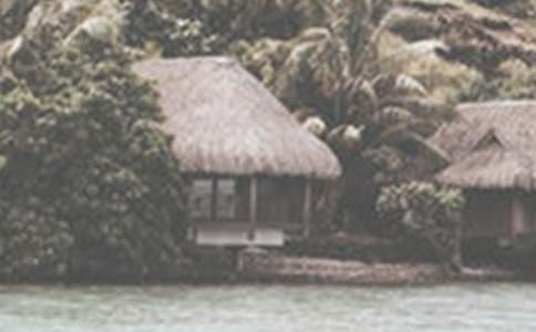 夏季的風(fēng)作文4篇