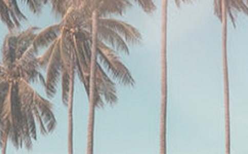 描寫夏季的初中優(yōu)秀作文