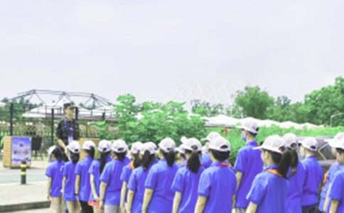 參加夏令營作文200字(精選18篇)