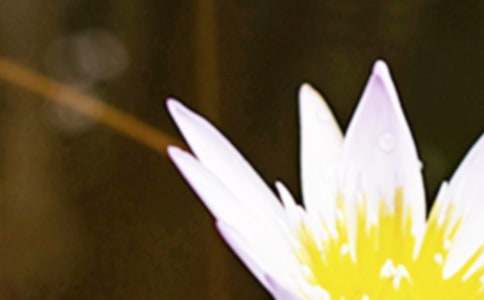 電視劇夏至未至主題曲插曲歌詞