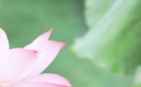 2015��������һ��