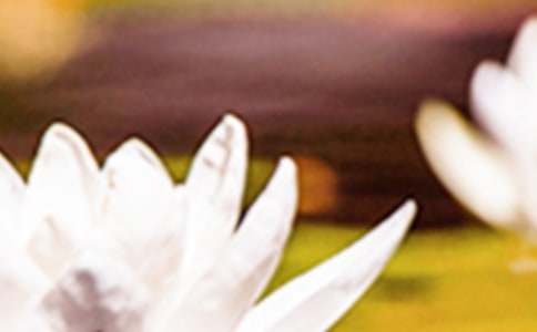 ����δ��Ƭβ���Ͳ������׸������~