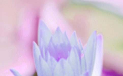 《夏至未至》主題曲的歌詞