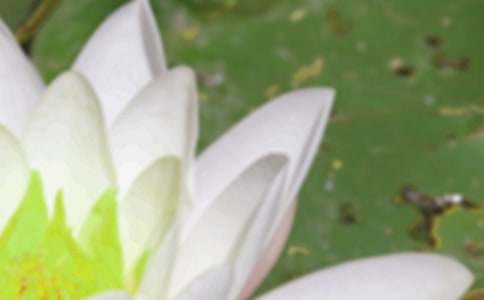 �ҕ��������δ����������׷���ߡ��ĸ��~