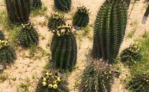 �^��ֲ������������