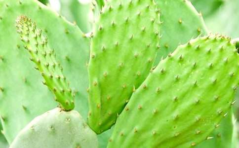 �����Ƶ��^������