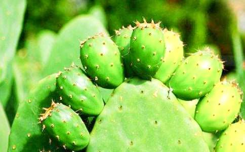 �������ģ������c������