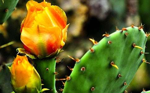 ���������^����1500��