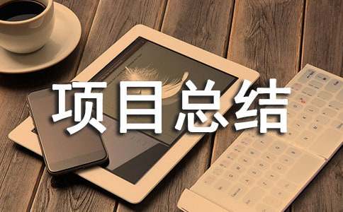 (熱)it項目總結(jié)報告15篇