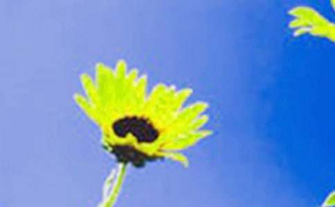 �����е����տ����ģ����x29ƪ��