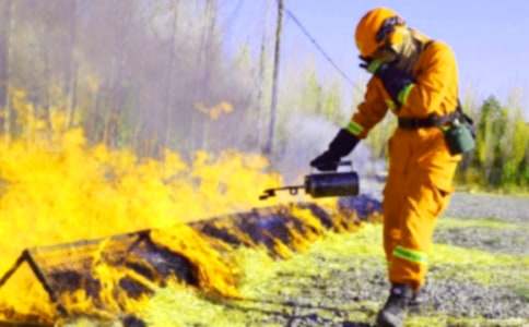 ������ȫ������(��10ƪ)