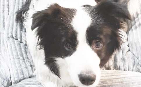 �ְ����Һ�С��С�W(xu��)����