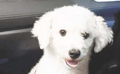 �Һ�С��֮�g�l(f��)����������