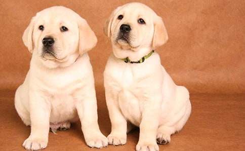 С؈��С�����ģ����x15ƪ��