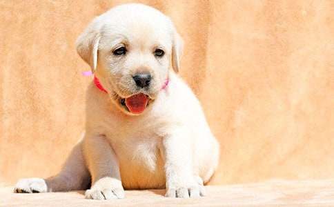 ��Ӌ(j��)ٍС�������ķ���