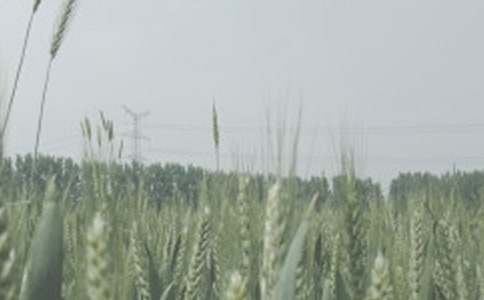 �����A��С������300�֣�ͨ��26ƪ��