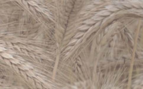 �����]��С������300����ƪ