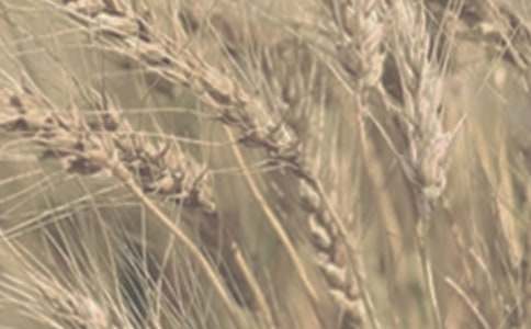 ����һ�ý�(j��ng)�v����(z��i)��С����h(hu��n)������