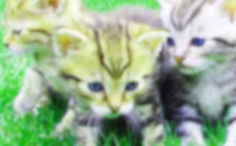 ��ɐ�(��i)С؈���ģ�ͨ��43ƪ��