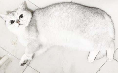 С؈͵������