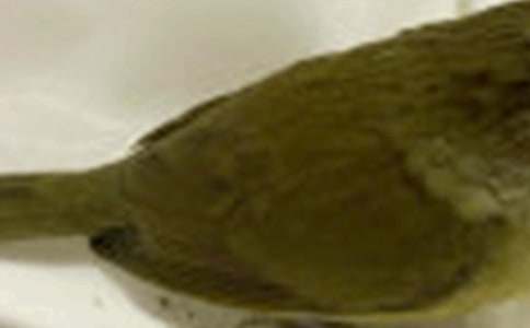 �����]��С�B(ni��o)��ͯԒ������ƪ