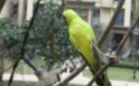 ���P(gu��n)С�B��ͯԒ���İ�ƪ