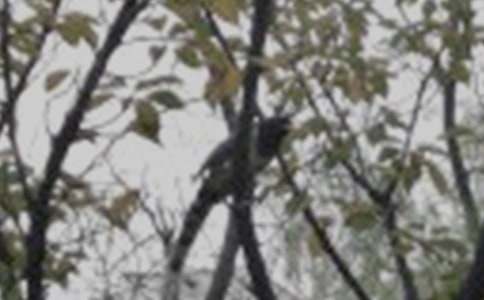 �c����ͬ��С�B���꼉����