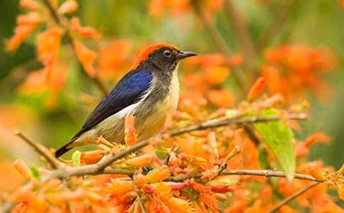 ���댦(du��)С�B(ni��o)�f(shu��)��������