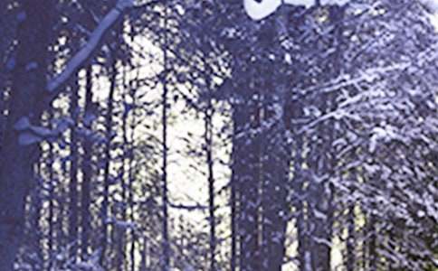 形容冬天小雪的句子(220句)