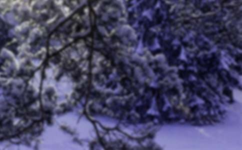 С؈Сѩ����