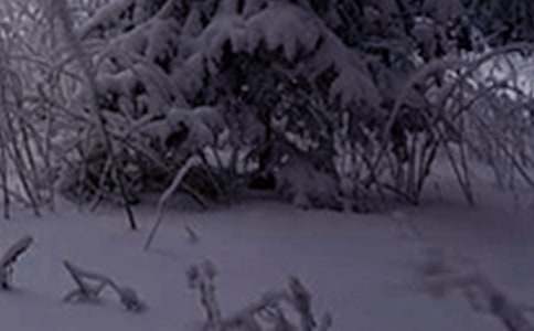 Сѩ��С����(y��u)������