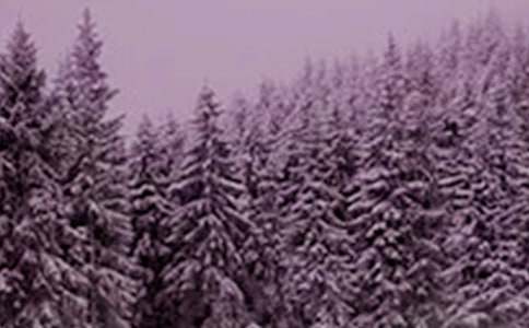 凝小雪550字作文