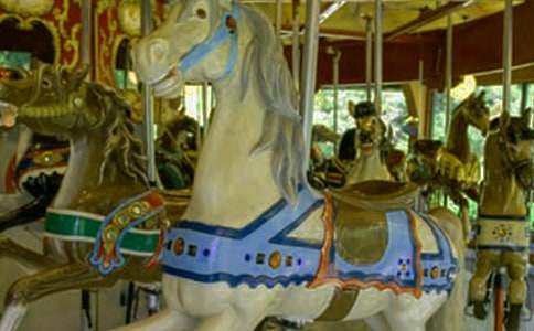 ����˨�����D(zhu��n)ľ�R������