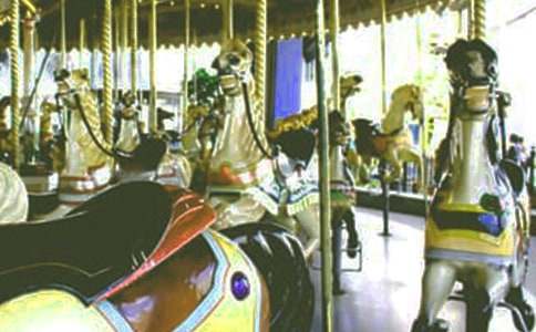 ���D(zhu��n)ľ�R��(j��ng)��ɢ��