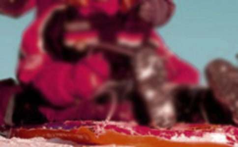 滑雪橇作文300字