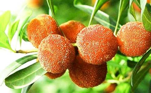 ���l(xi��ng)�ė�÷���ľ��x12ƪ