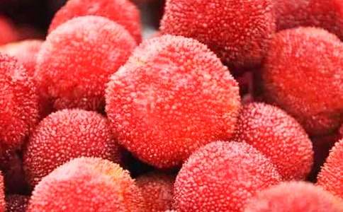 故鄉(xiāng)的楊梅作文(集錦12篇)