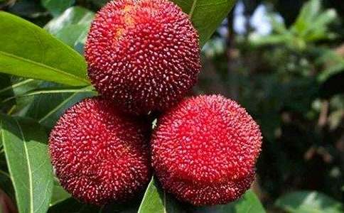 ���l(xi��ng)�ė�÷���Ľ�(j��ng)�䡾6ƪ��